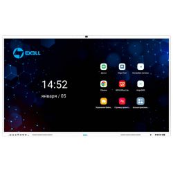 Интерактивная панель (комплекс) EXELLTECH EFM651R2