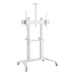 Стойка мобильная Digis DSM-P7106C