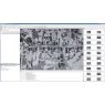 Agisoft Metashape Professional