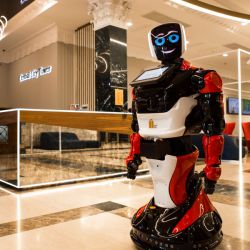 Робот Promobot V.4 Базовый, комплектация 1