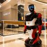 Робот Promobot V.4 Базовый, комплектация 1